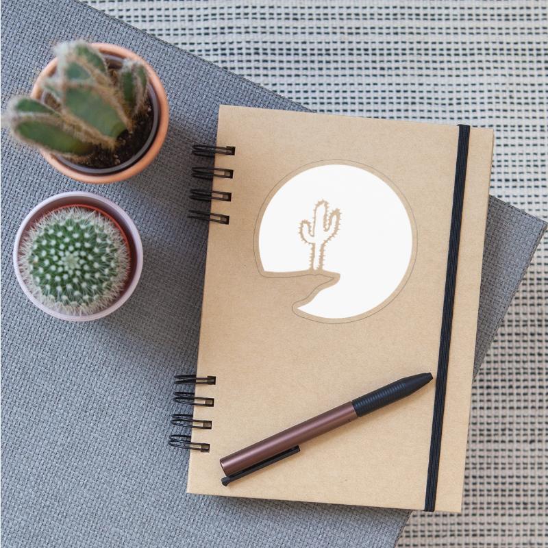 Cactus Moon Evening Mountain Cliff Night Round Sun