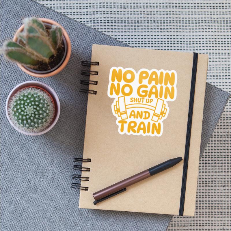 NO PAIN NO GAIN SHUT UP AND TRAIN