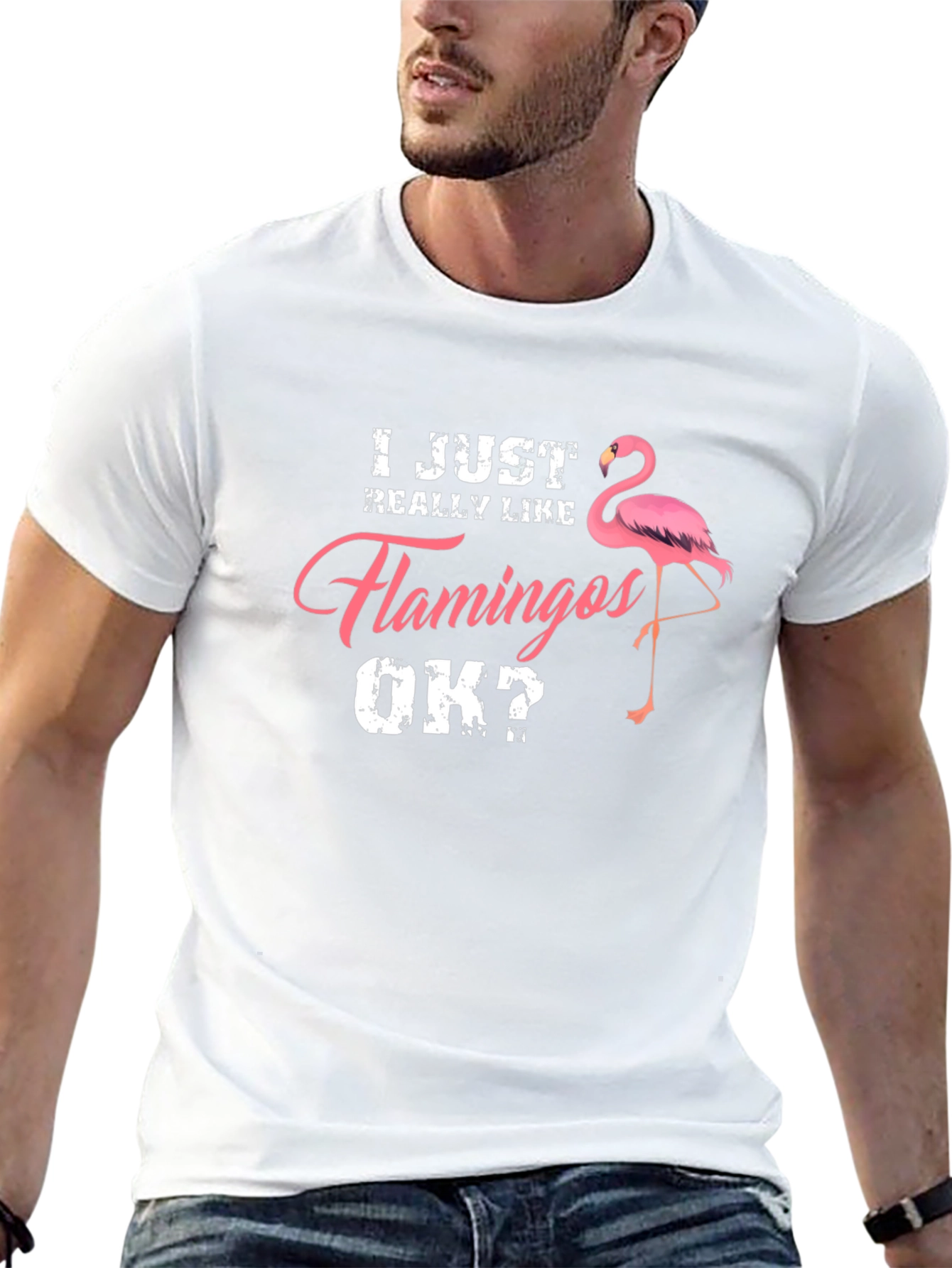 I Just Really Like Flamingos OK? Mens T-Shirt