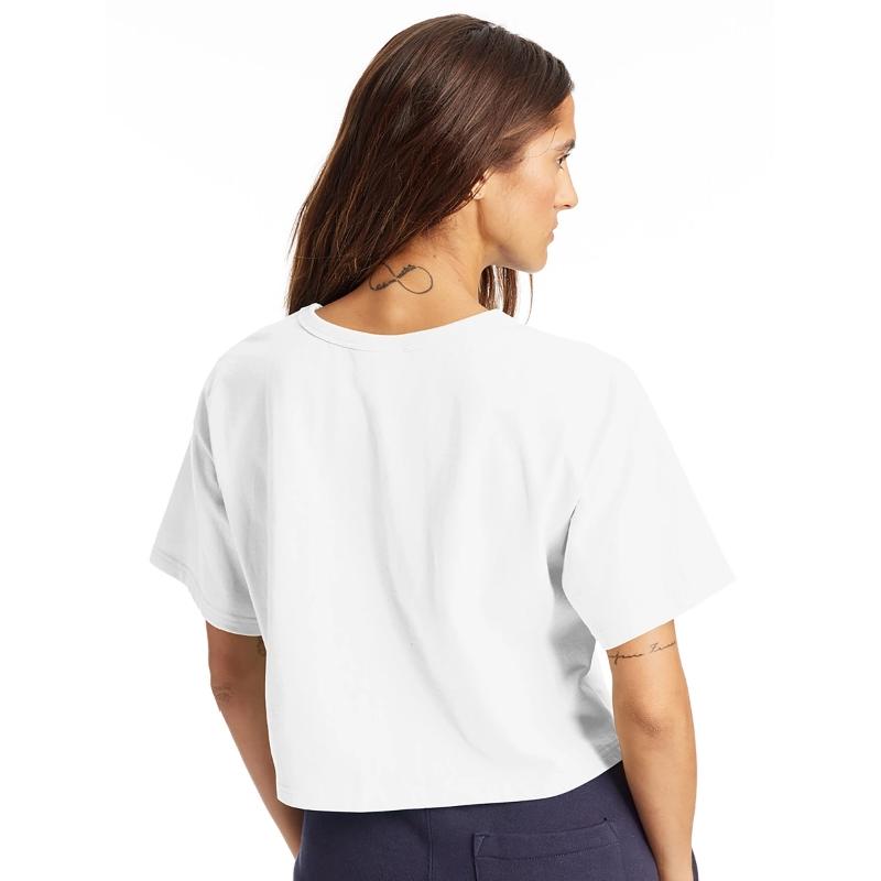 Elegant Horse Heads With Wild Manes