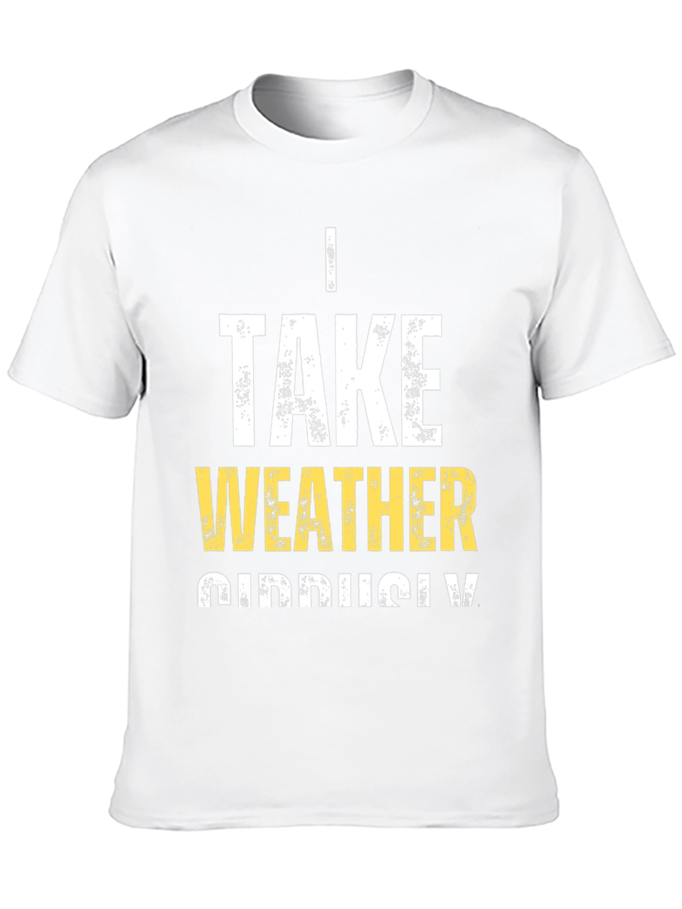 Funny Weather Pun T-Shirt - I Take Weather Seriously