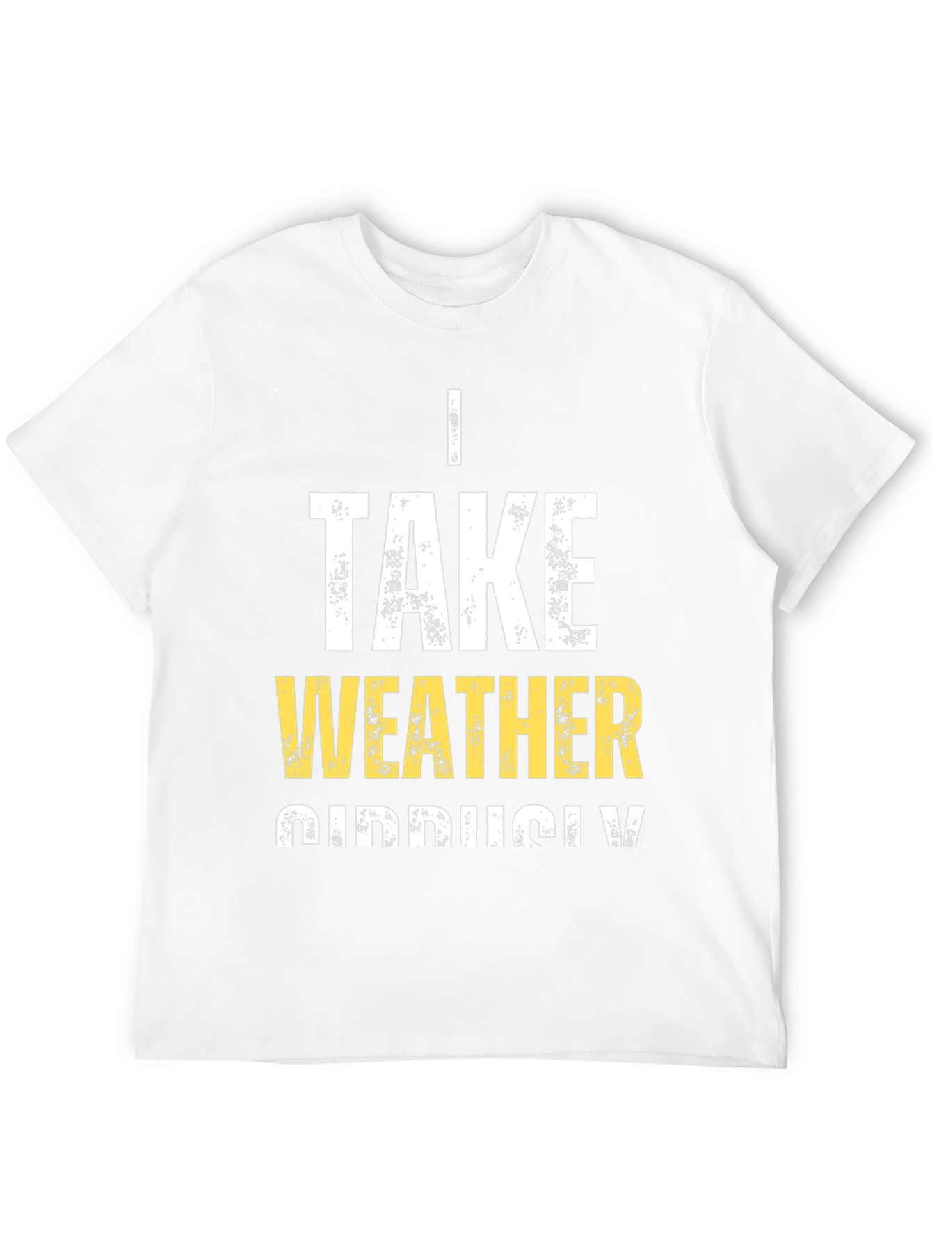 Funny Weather Pun T-Shirt - I Take Weather Seriously