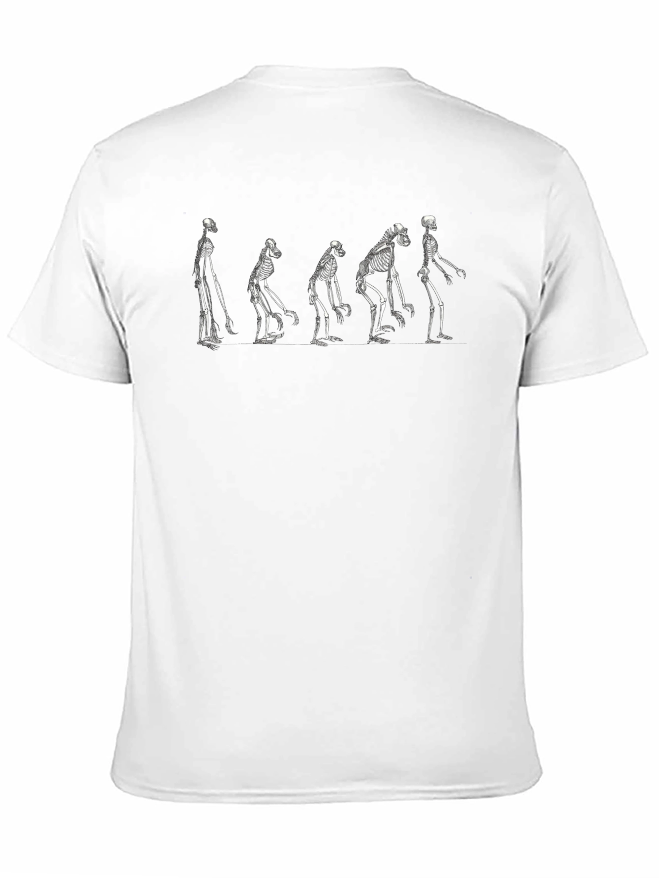 Evolution Skeleton Black T-Shirt