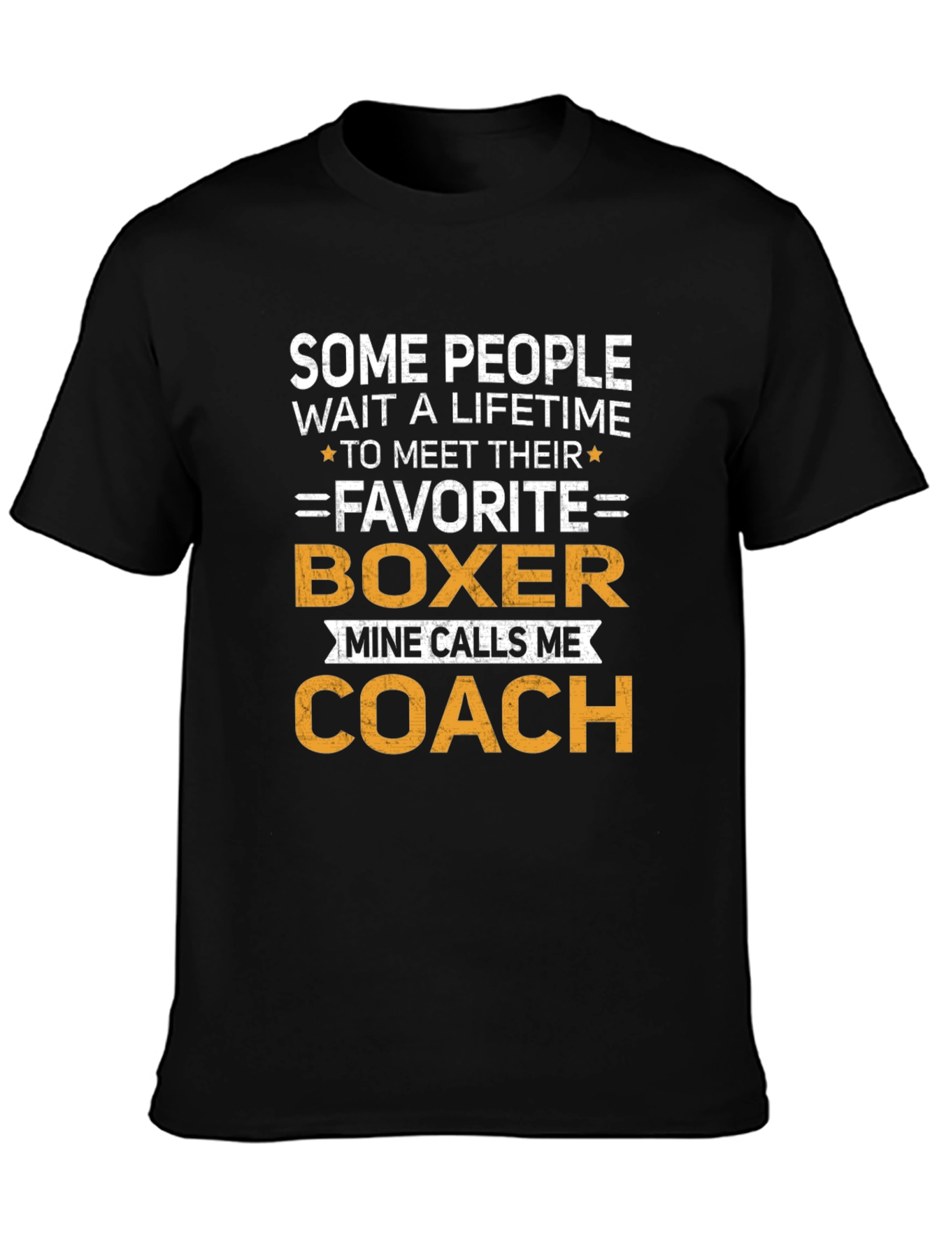 Boxer Coach T-Shirt - Gift for Boxing Trainer