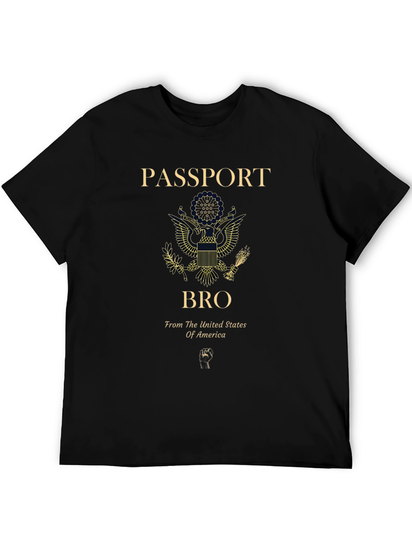 Passport Bro USA Graphic T-Shirt