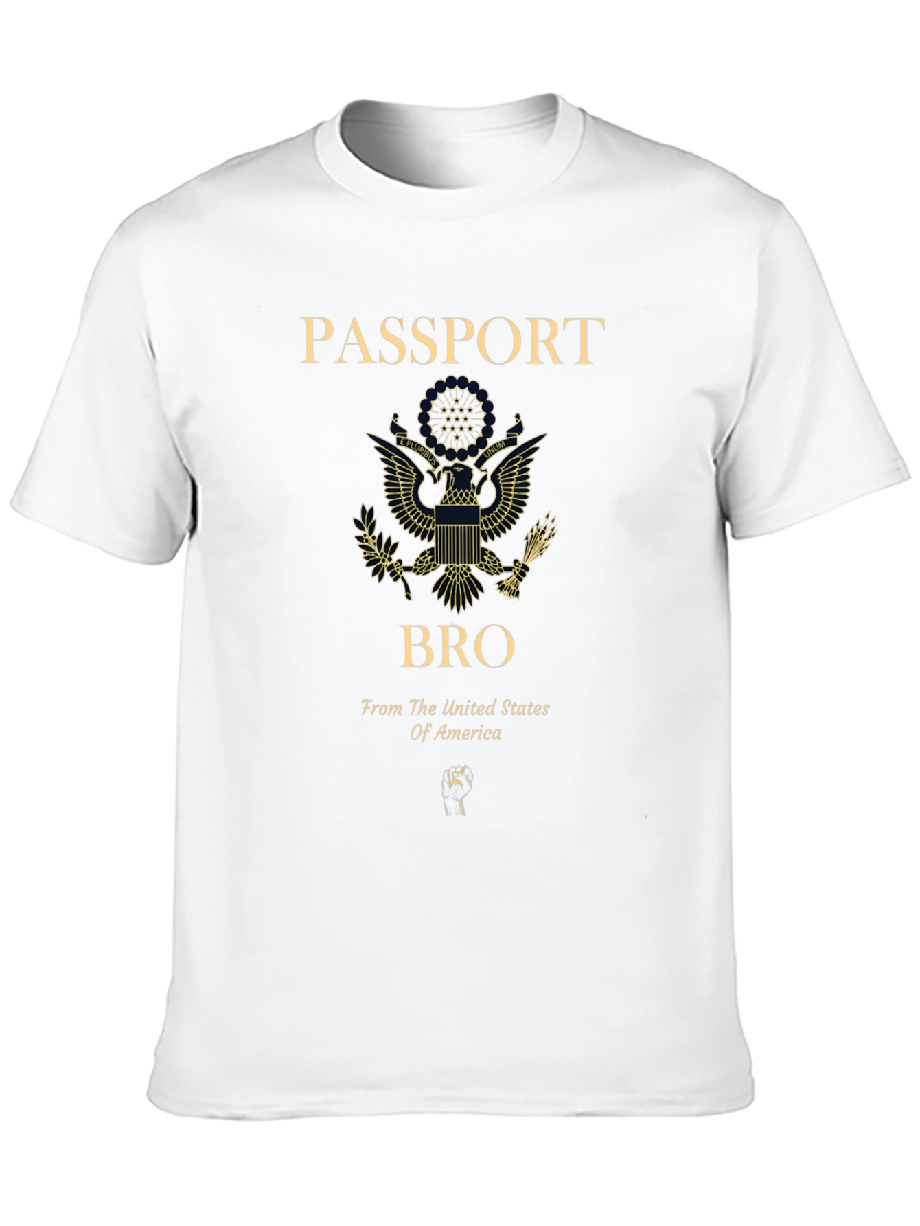 Passport Bro USA Graphic T-Shirt