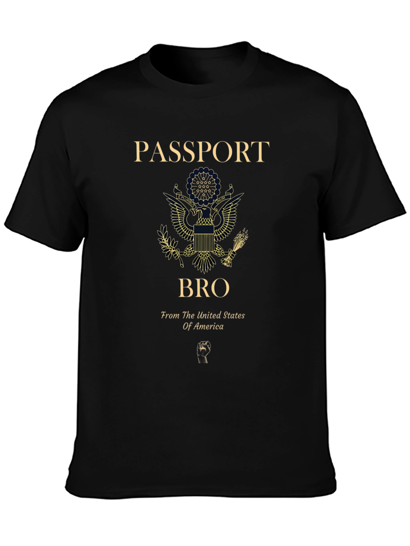 Passport Bro USA Graphic T-Shirt