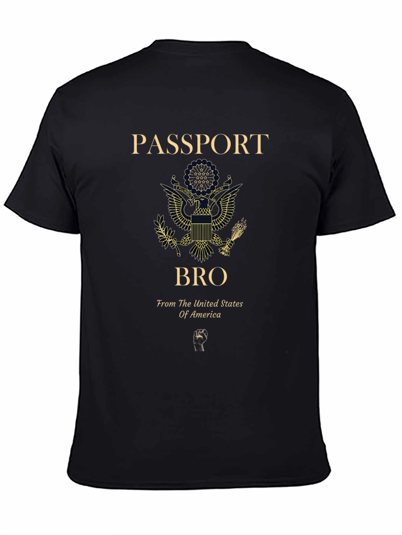 Passport Bro USA Graphic T-Shirt