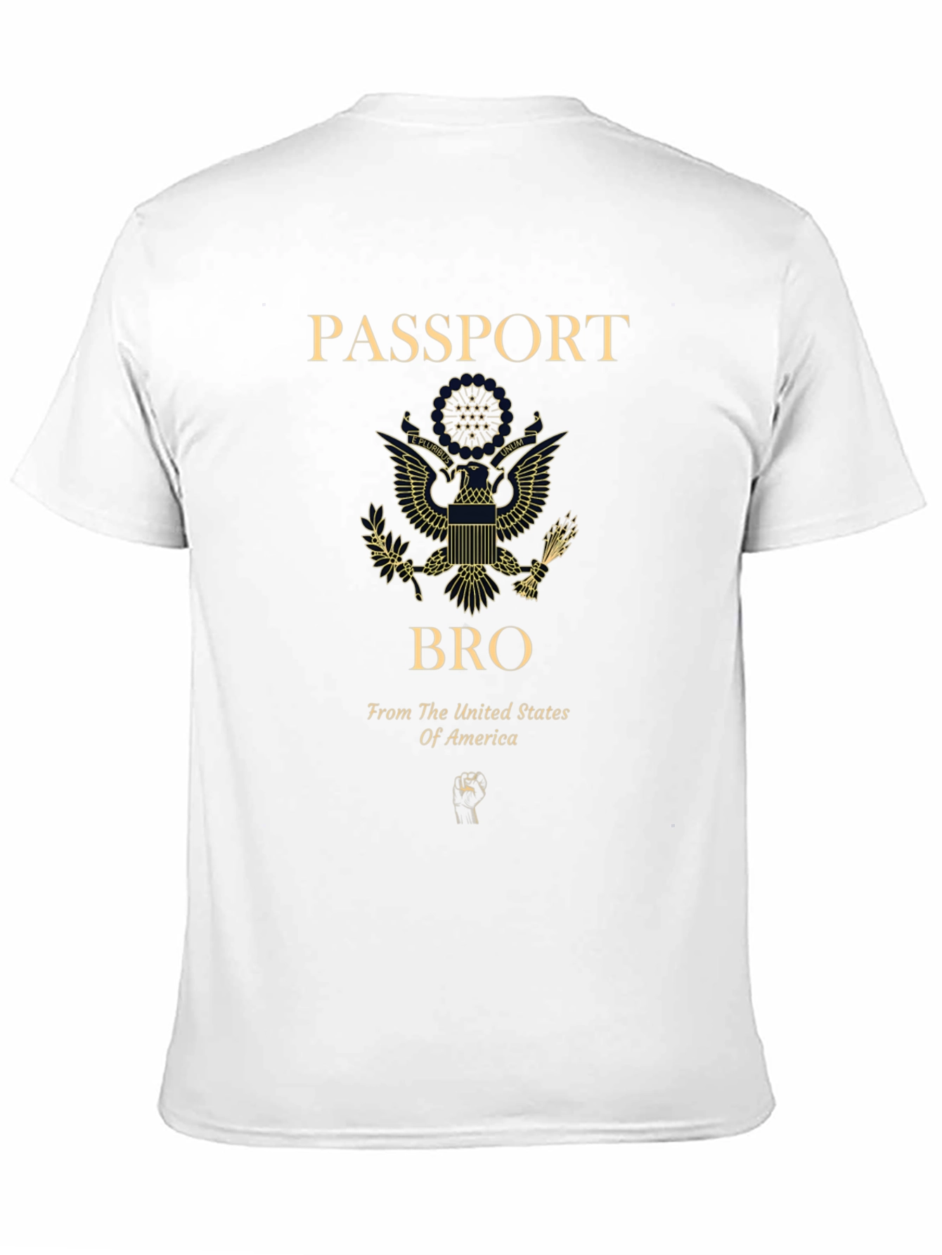 Passport Bro USA Graphic T-Shirt
