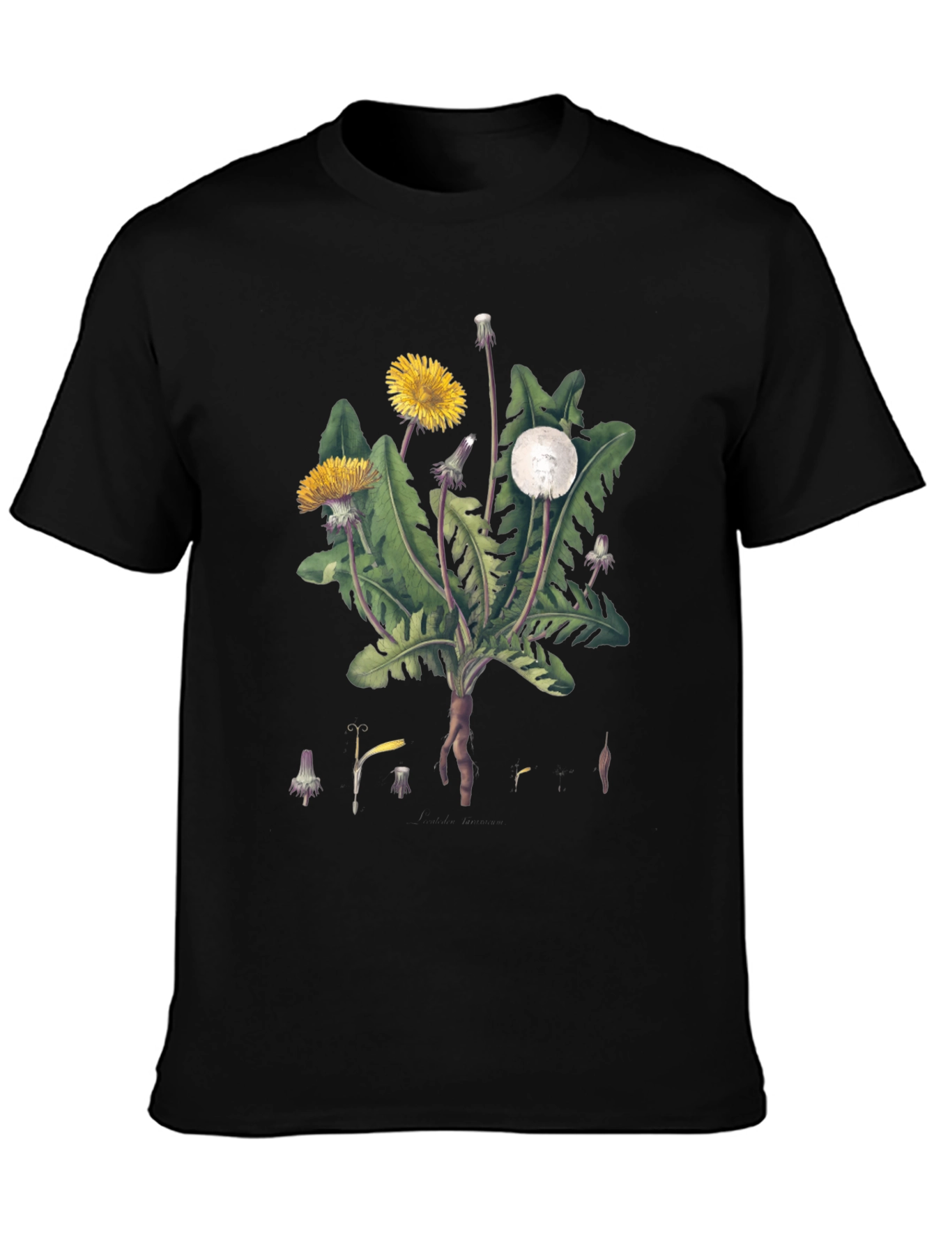 Dandelion Graphic Tee - Nature Inspired Design