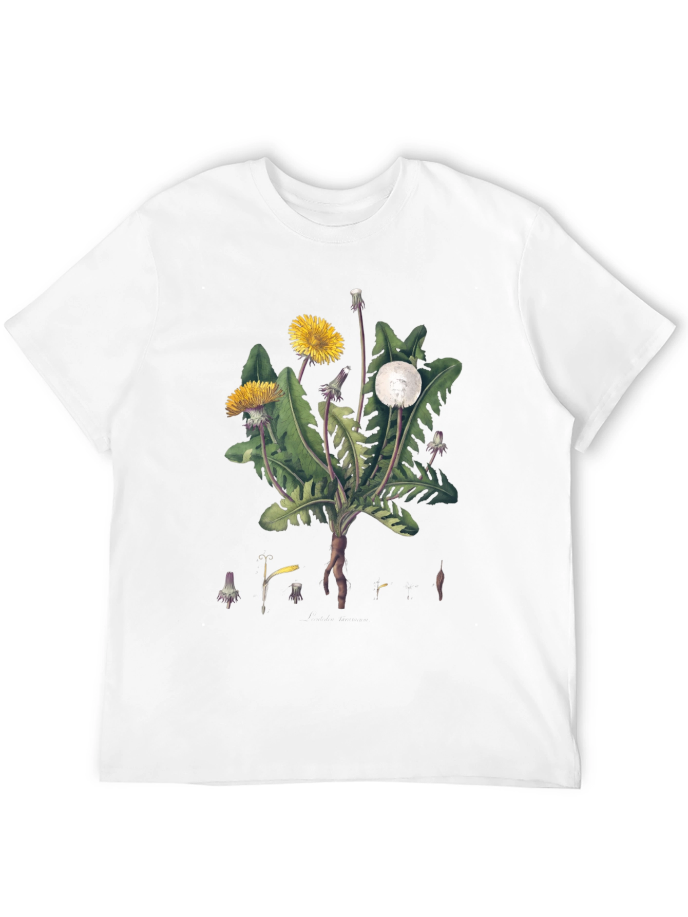 Dandelion Graphic Tee - Nature Inspired Design