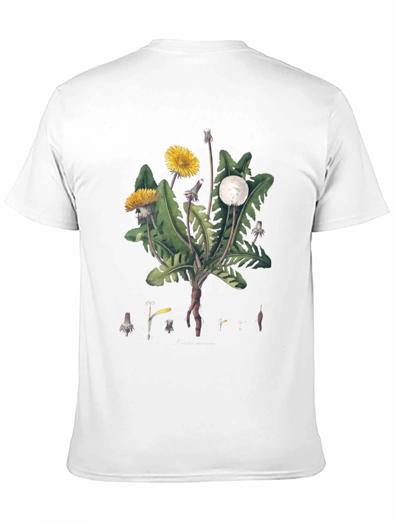 Dandelion Graphic Tee - Nature Inspired Design