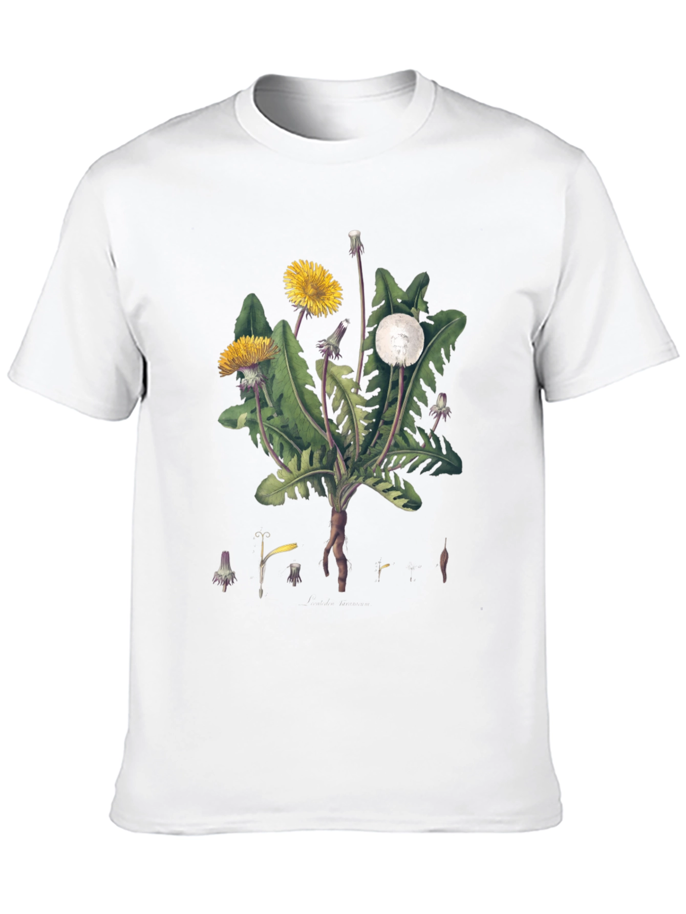 Dandelion Graphic Tee - Nature Inspired Design