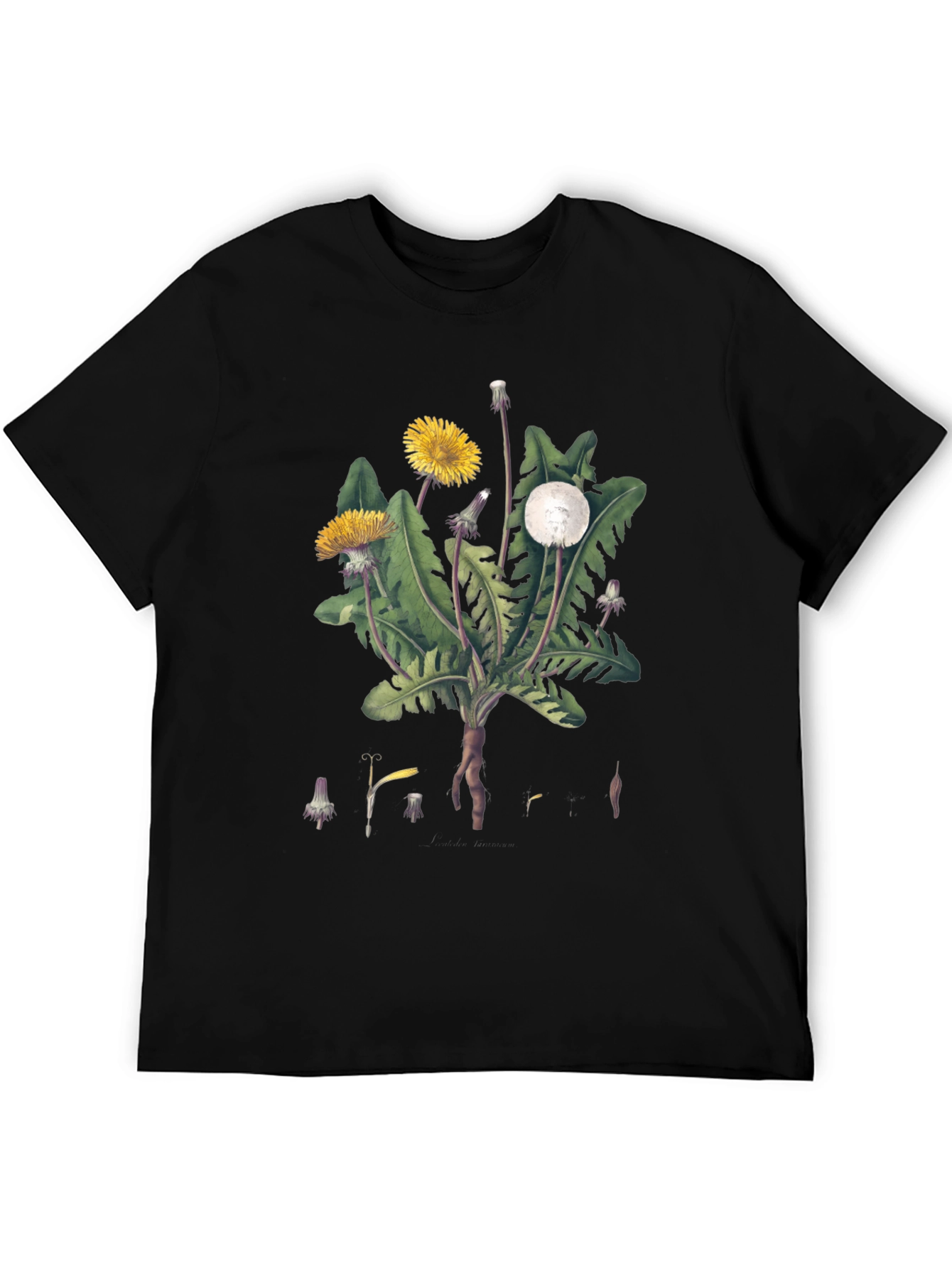 Dandelion Graphic Tee - Nature Inspired Design