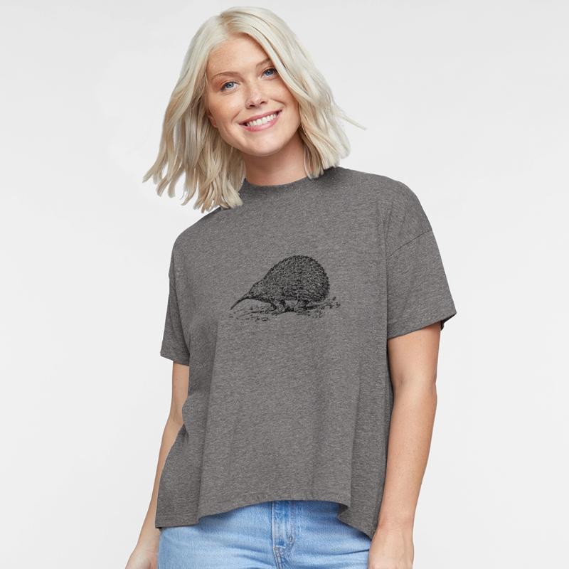 Monotreme Mysterious Animal