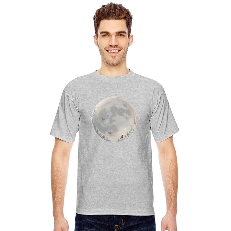 Moonlit Flight Serene Night Sky