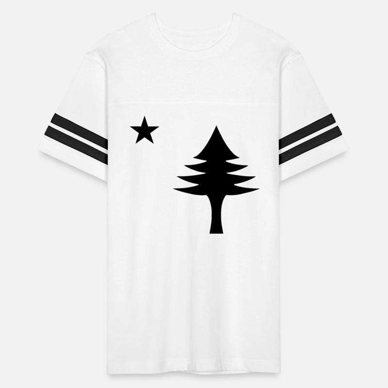 Pine tree and star 1901 flag of Maine State