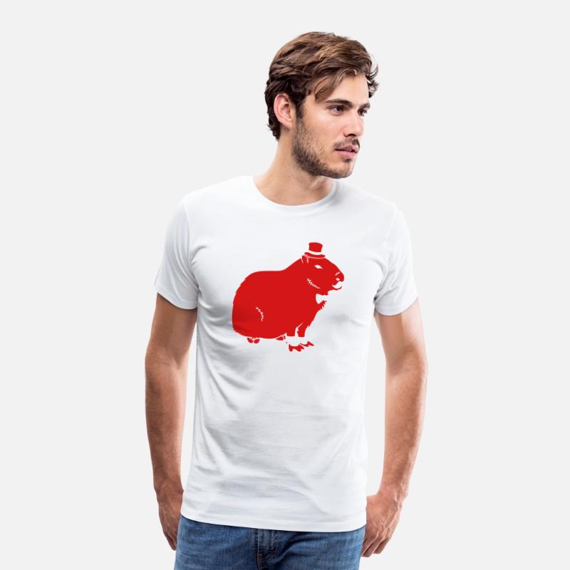 Sir Capybara [sir-capybara]