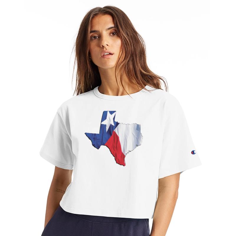 Texas (State) Flag in Texas (State) Map