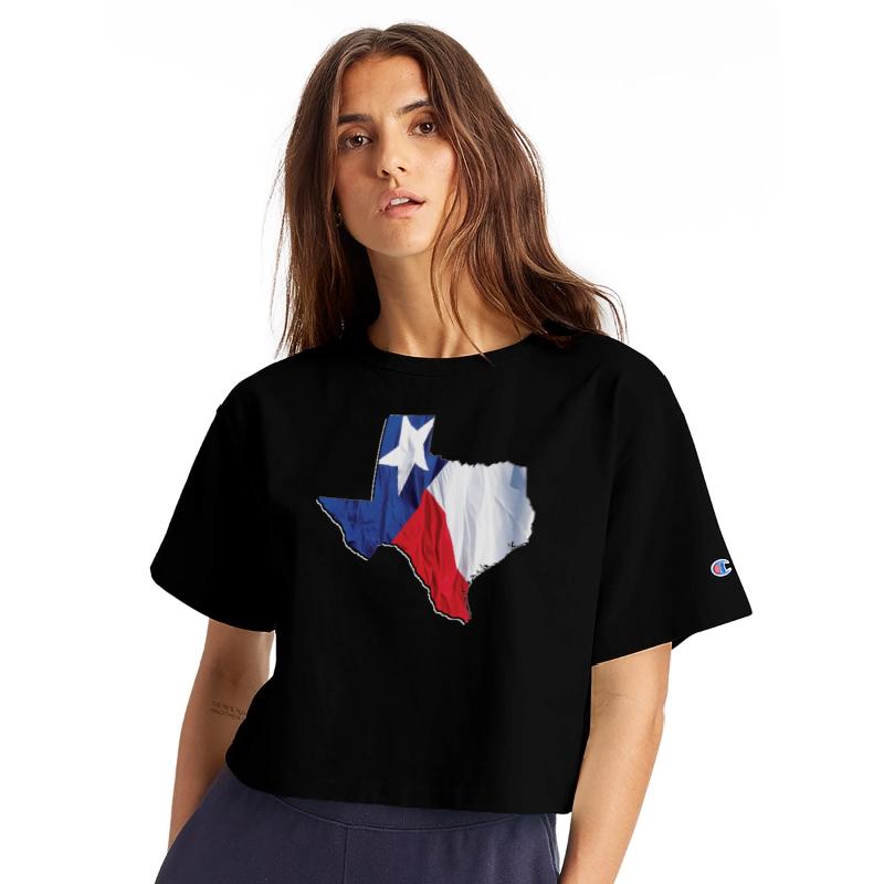 Texas (State) Flag in Texas (State) Map