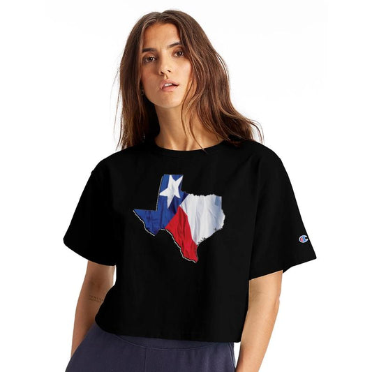 Texas (State) Flag in Texas (State) Map