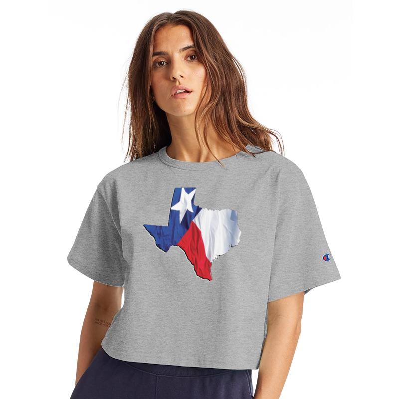 Texas (State) Flag in Texas (State) Map