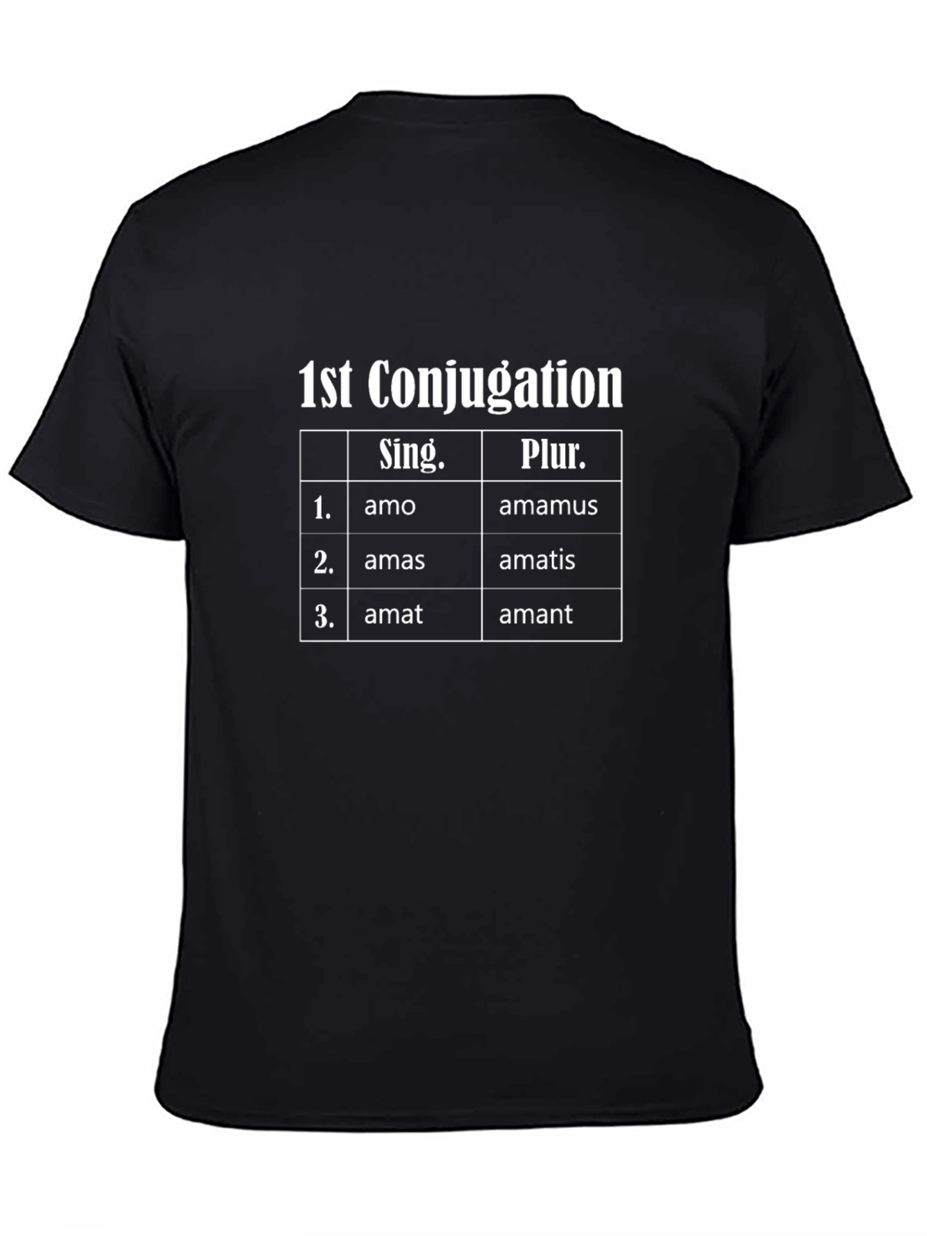 1st Conjugation Latin T-Shirt