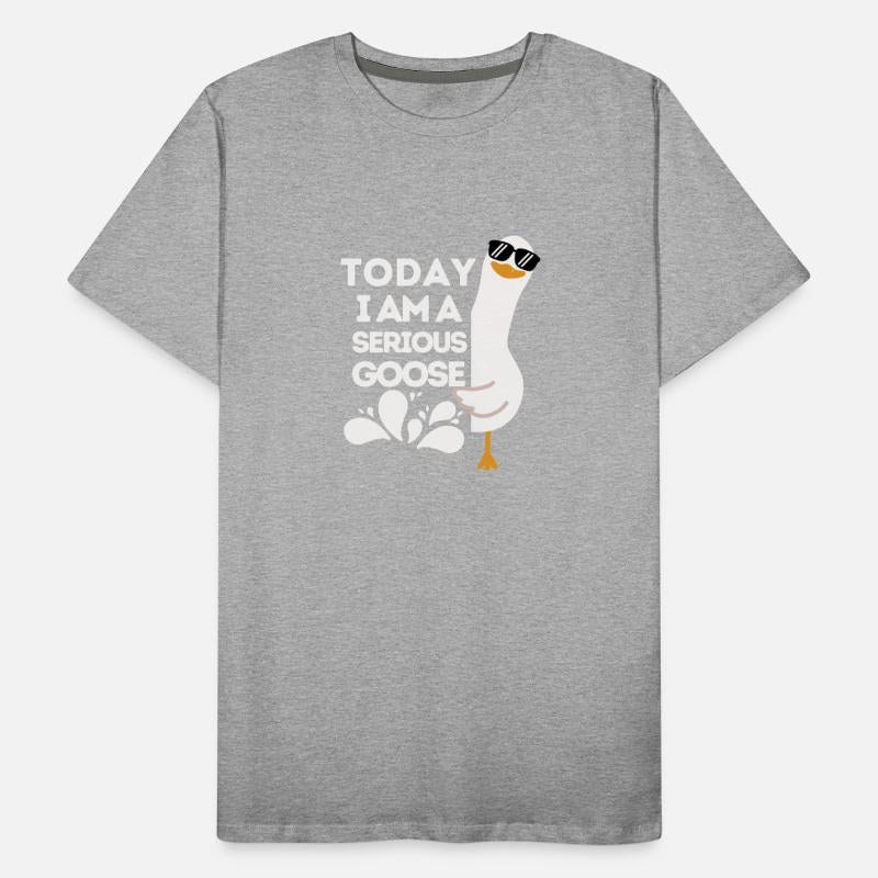 Today I Am a Serious Goose