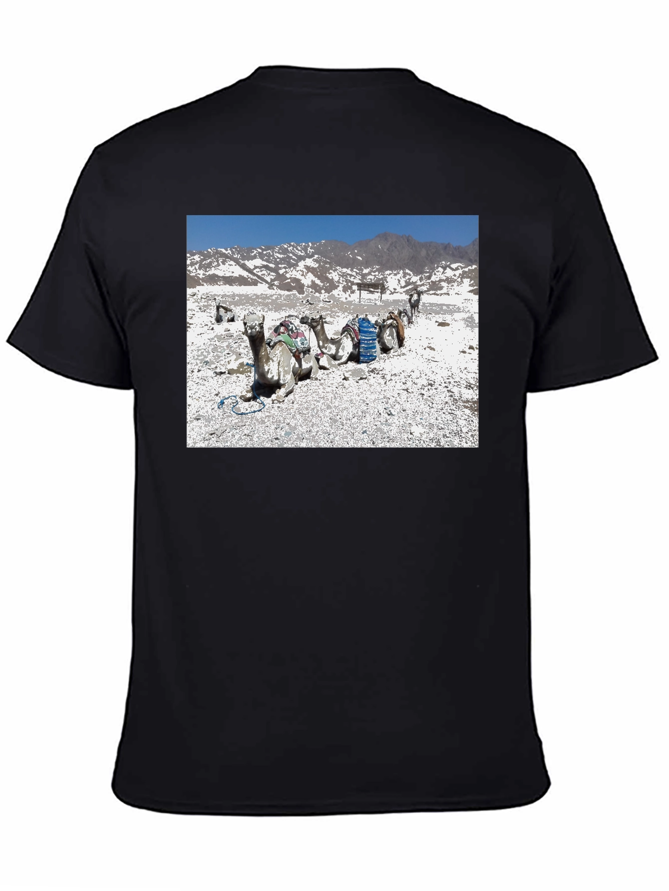 Mens Black Crew Neck T-Shirt - Camel Scene