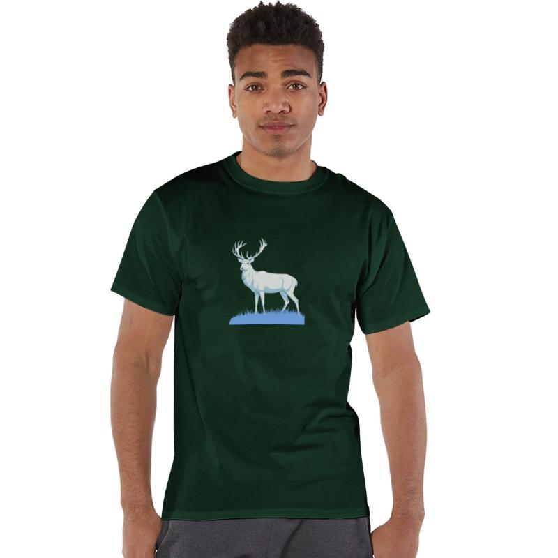 White Stag Deer Standing In Grass