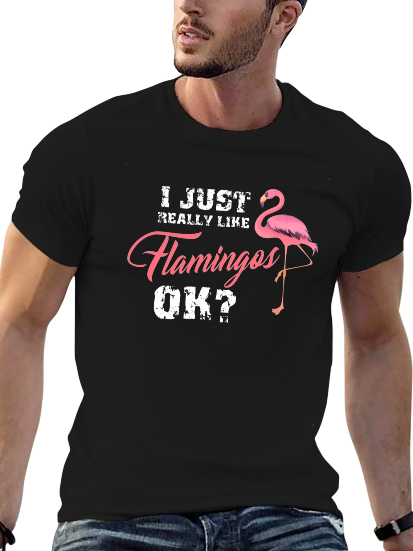 I Just Really Like Flamingos OK? Mens T-Shirt